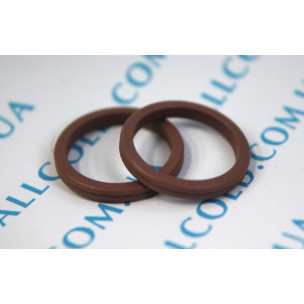 double oil seals with ledge Peugeot 2-7001207274 outer 21 mm, inner 16 mm, width 3 mm (DRA 717UN +88 029 Italy)