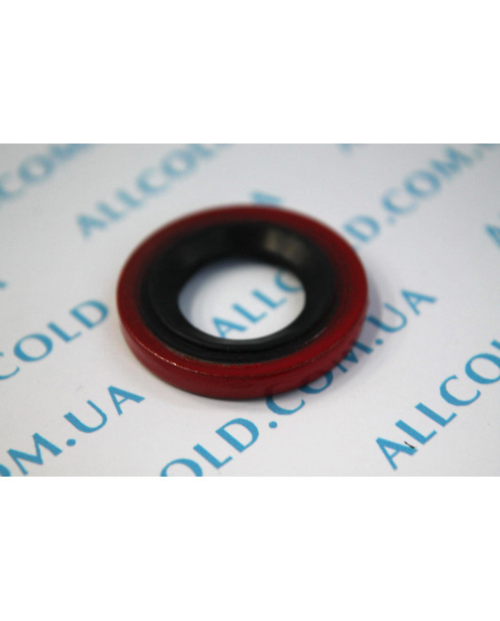 auto seals Diameter Outer 30 mm Inner 15 mm Thickness 4 mm Red (DRA 757UN +88 122 Italy )