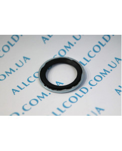 auto seals diameter Outer 25 mm inner 17 mm thickness 2 mm (DRA 741UN +88 085 Italy )