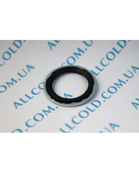 auto seals diameter Outer 25 mm inner 17 mm thickness 2 mm (DRA 741UN +88 085 Italy )