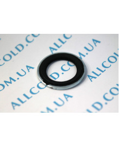 auto-sealers diameter outer 24 mm inner 15 mm thickness 2 mm (DRA 739UN +88 083 Italy )